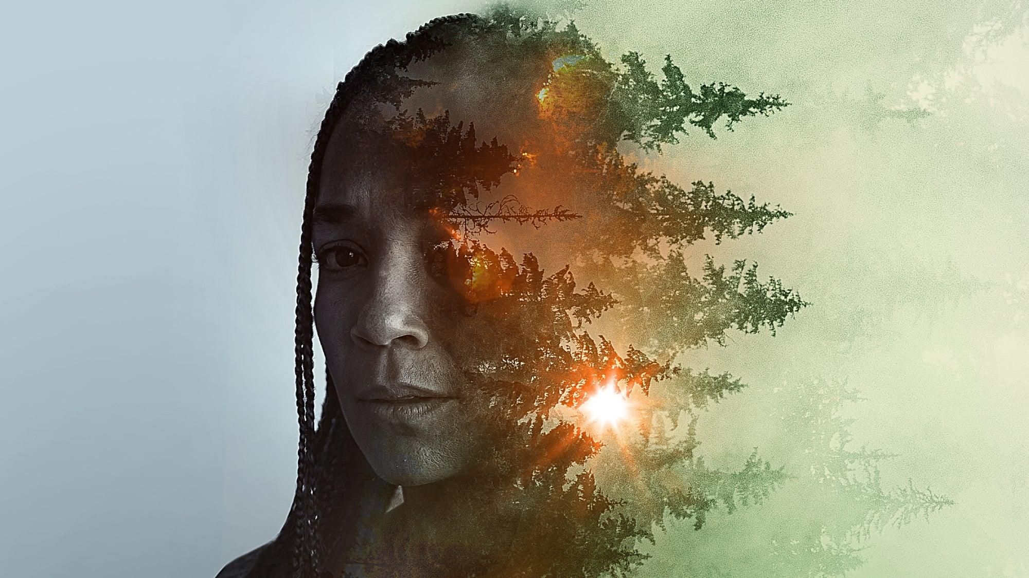 Sheltering Season thumbnail