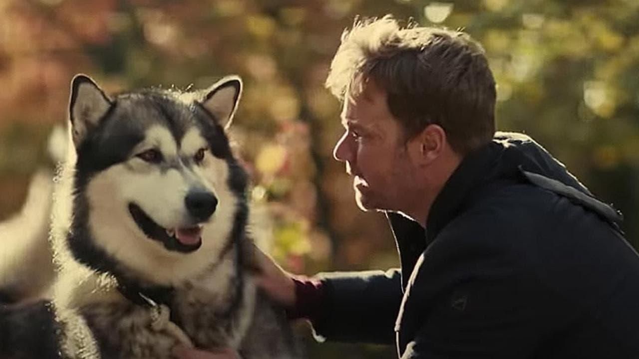 Hero Dog: The Journey Home thumbnail