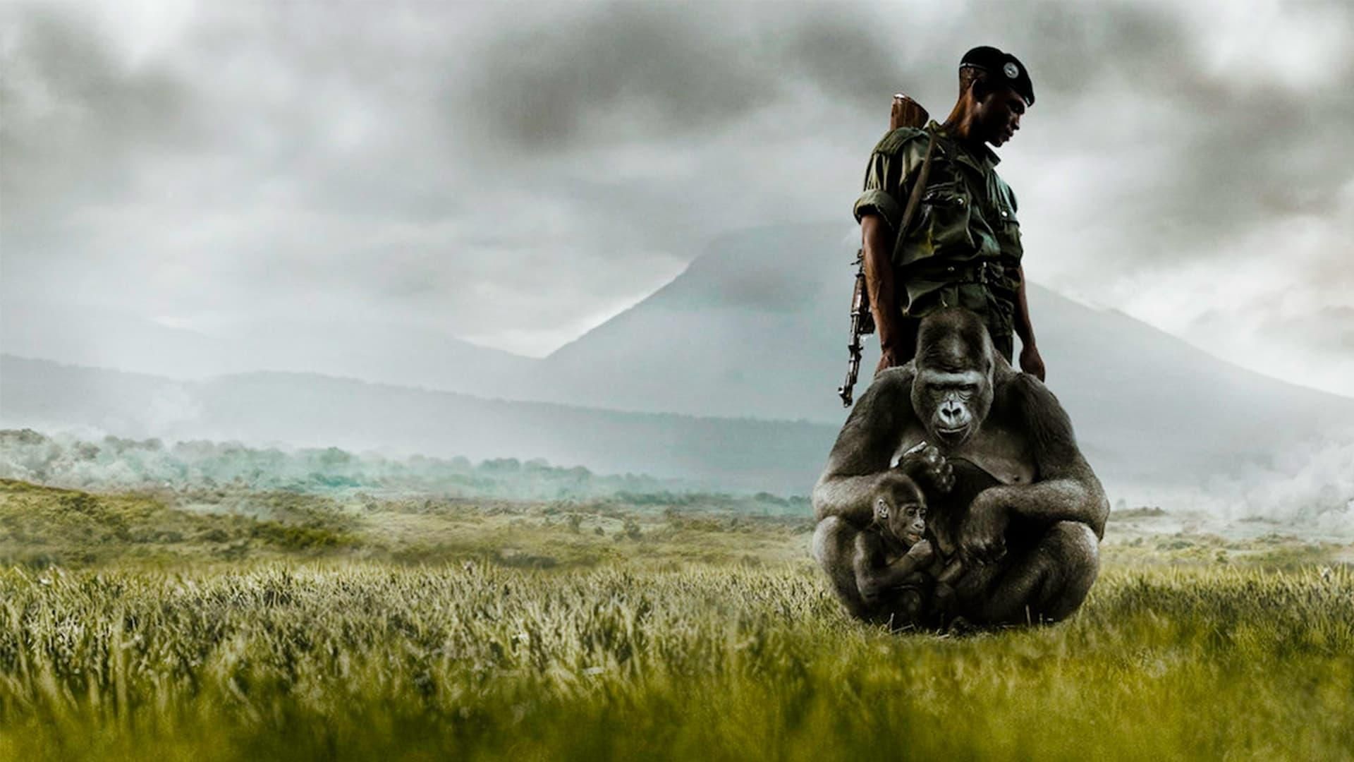 Virunga hero image