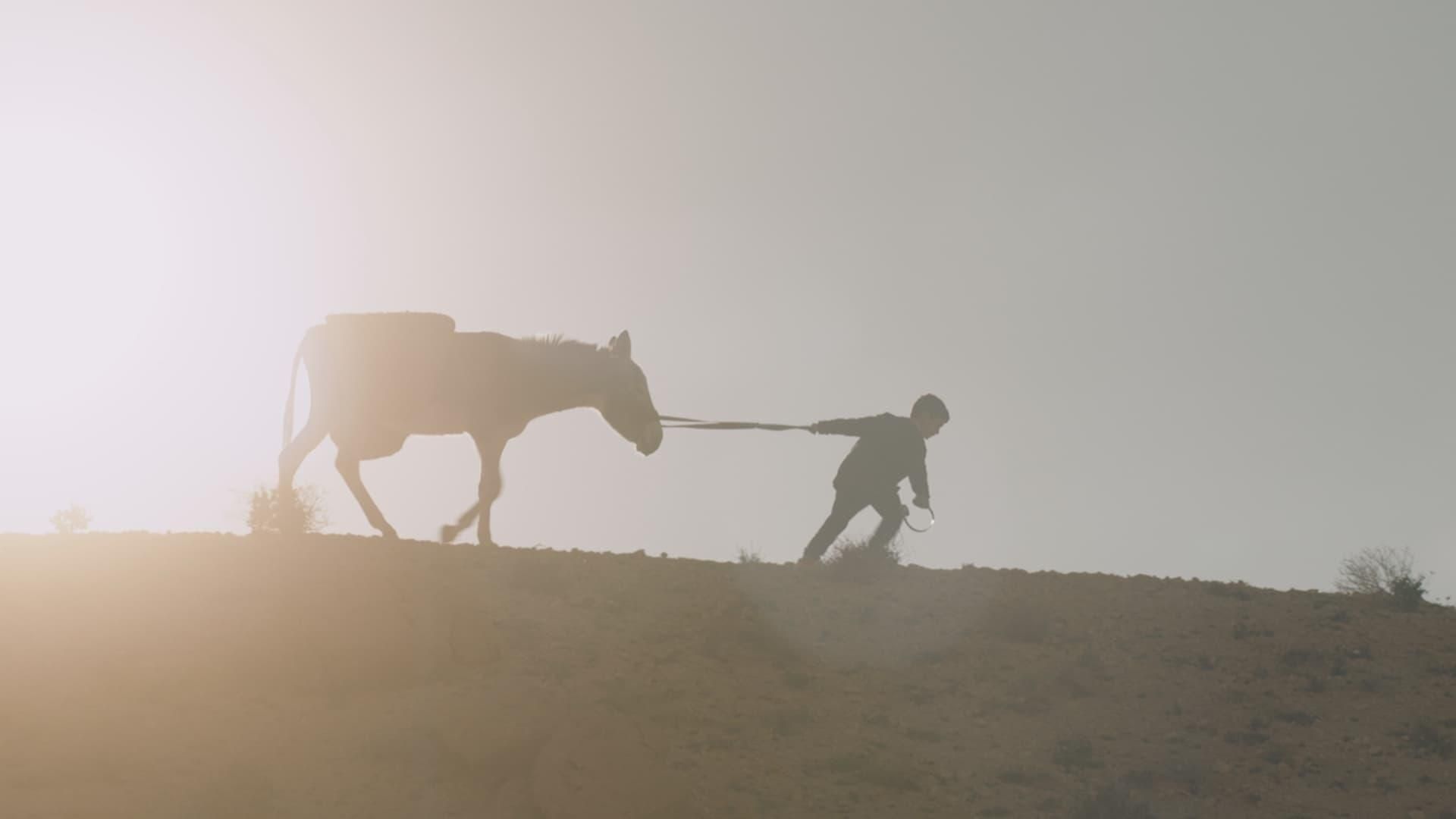 Nefta Football Club thumbnail