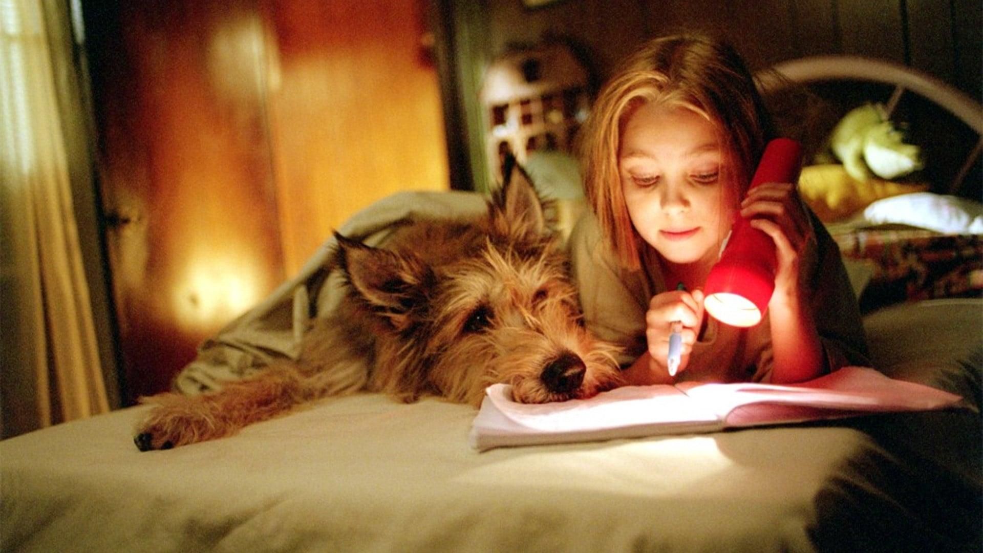 Because of Winn-Dixie thumbnail