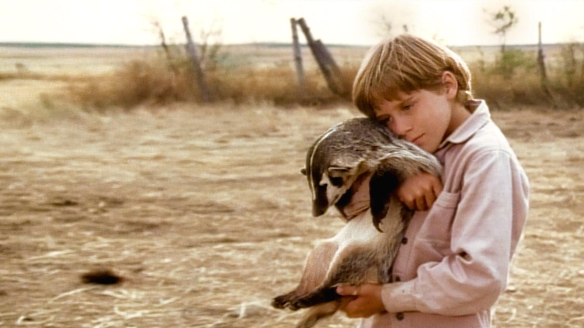 The Boy Who Talked to Badgers thumbnail