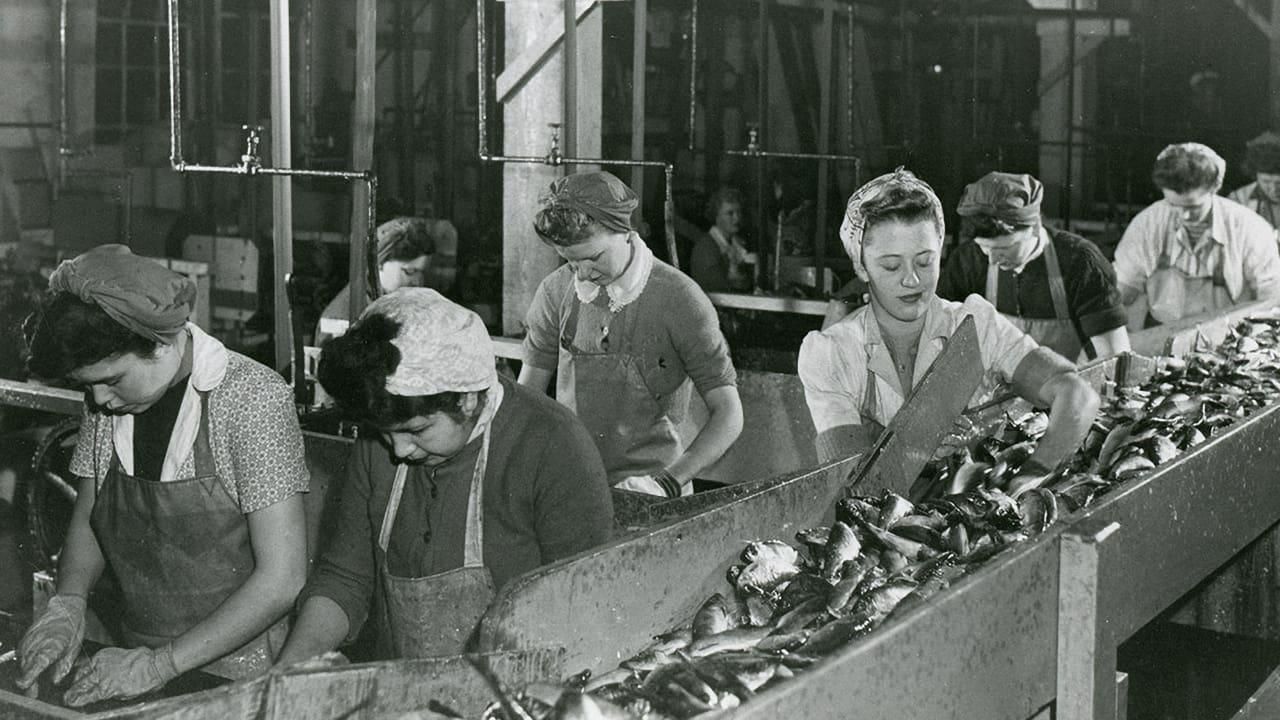 Working People: A History of Labour in British Columbia thumbnail