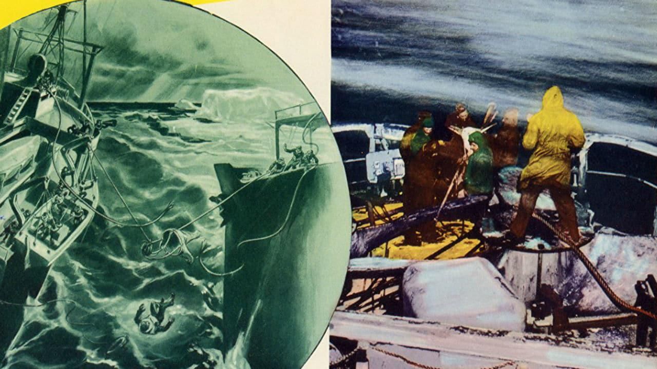 The Secret Land thumbnail