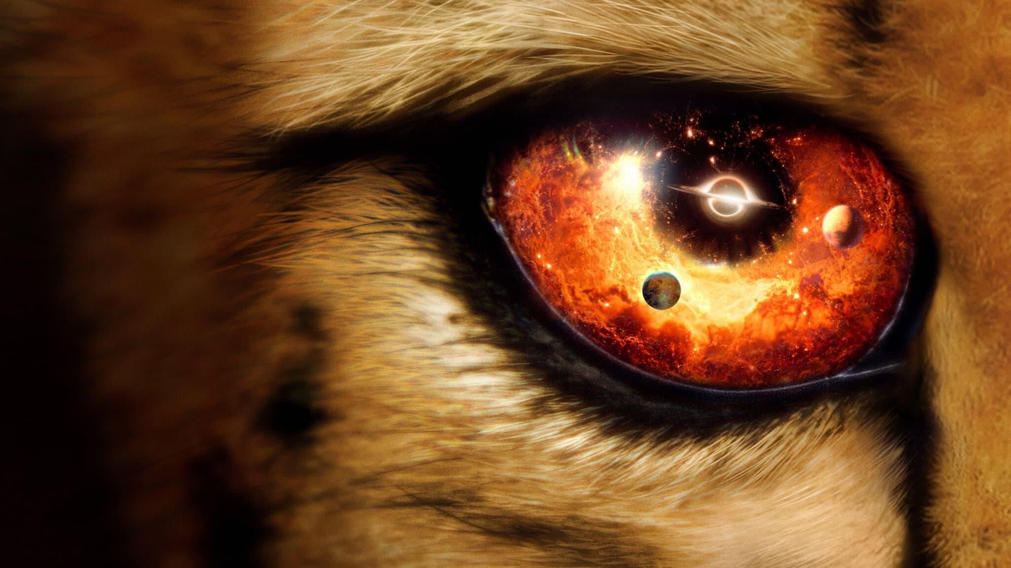 Our Universe thumbnail