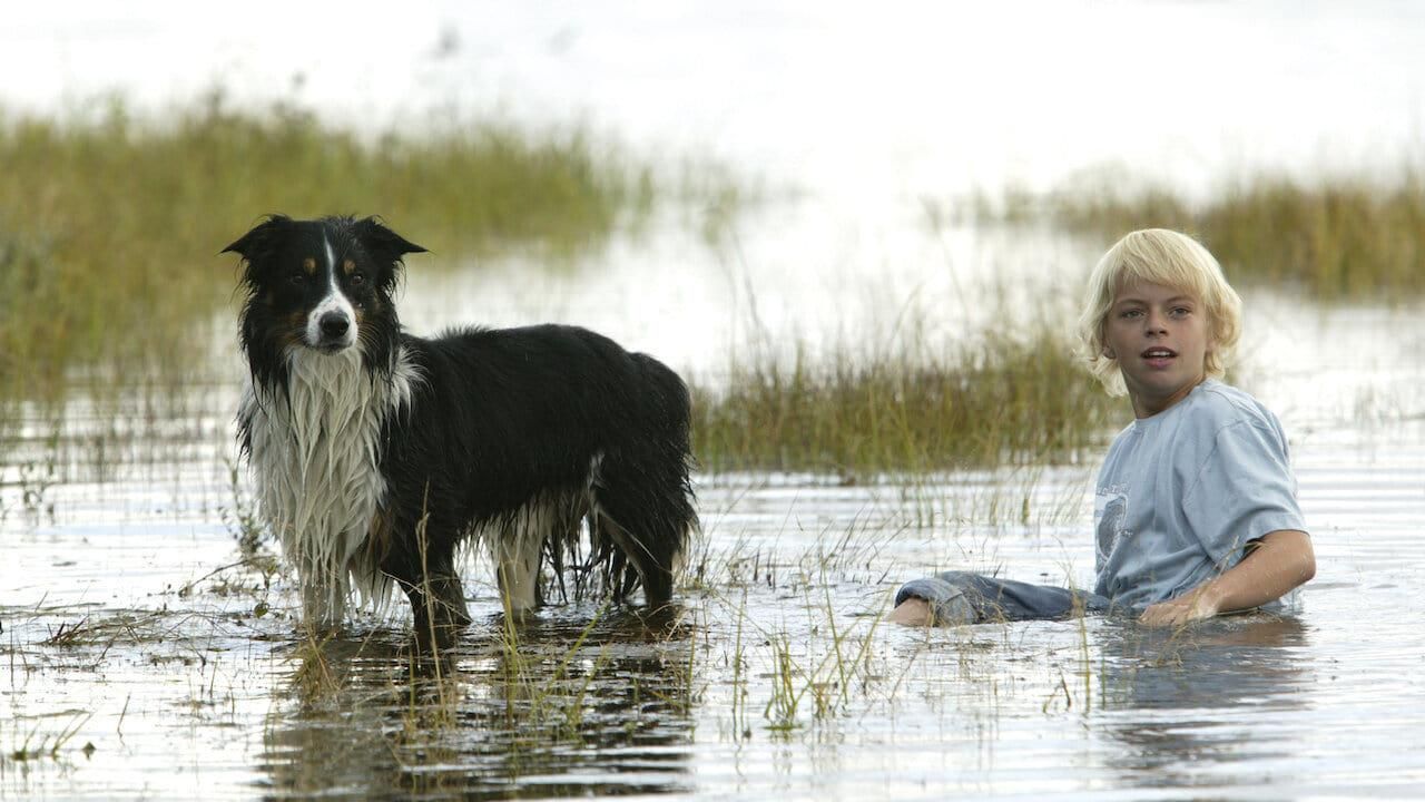 Finding Friends thumbnail