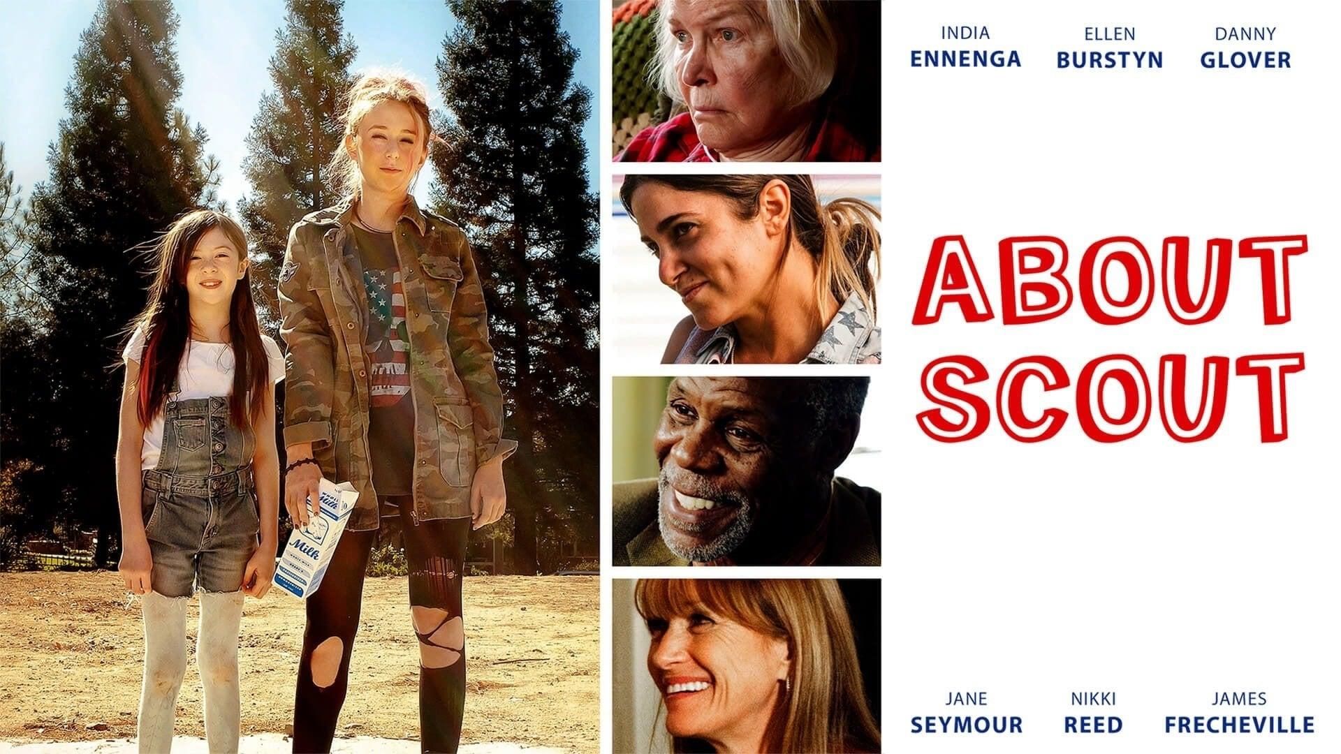 About Scout thumbnail