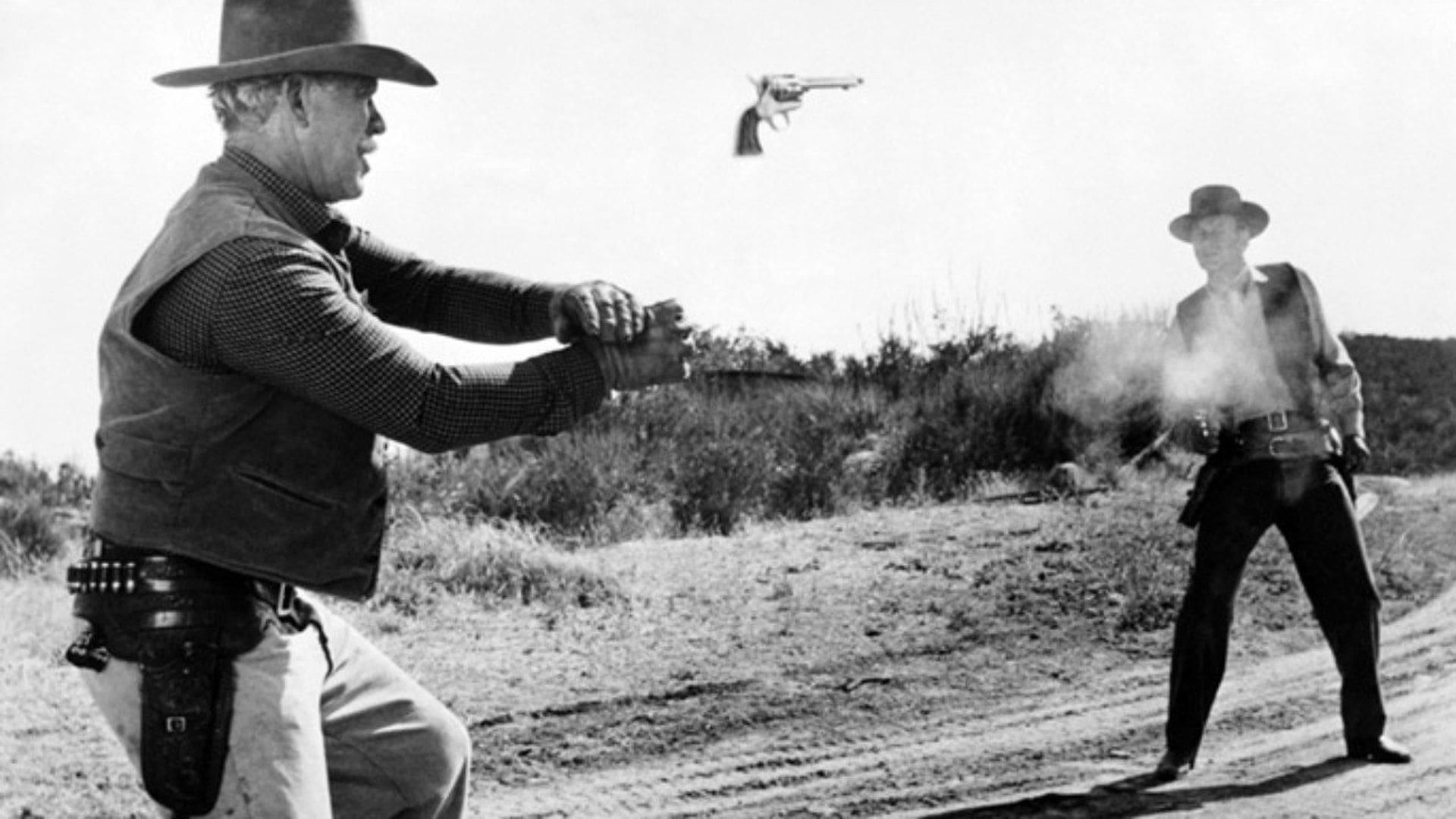 The Halliday Brand thumbnail