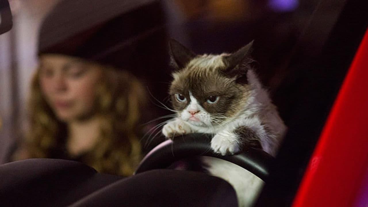 Grumpy Cat's Worst Christmas Ever thumbnail