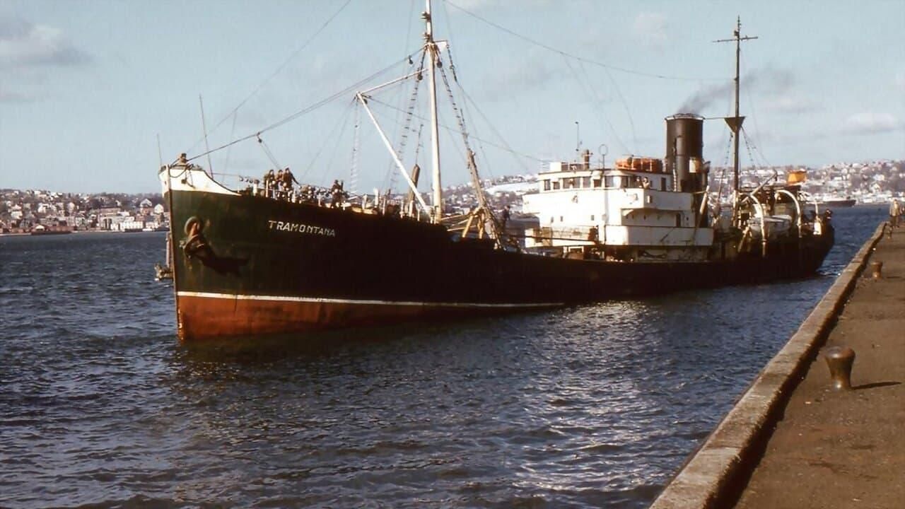 Arte al Agua - los bacaladeros de Terranova thumbnail