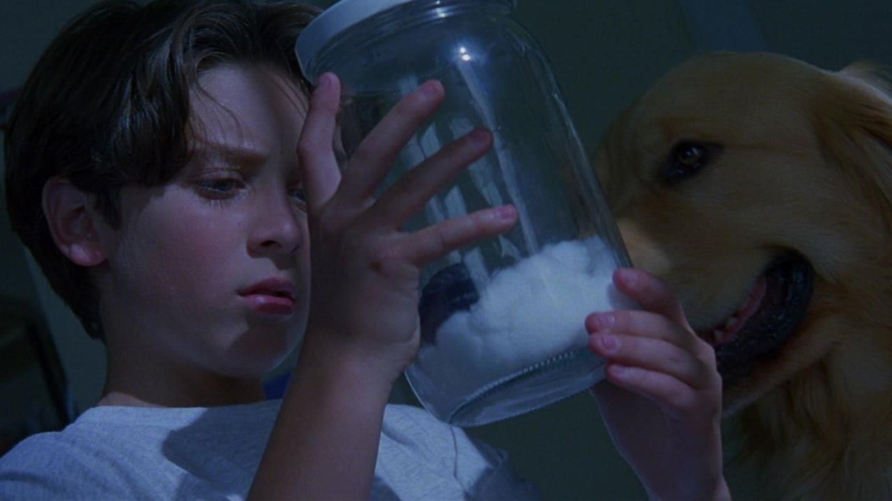 Warriors of Virtue thumbnail