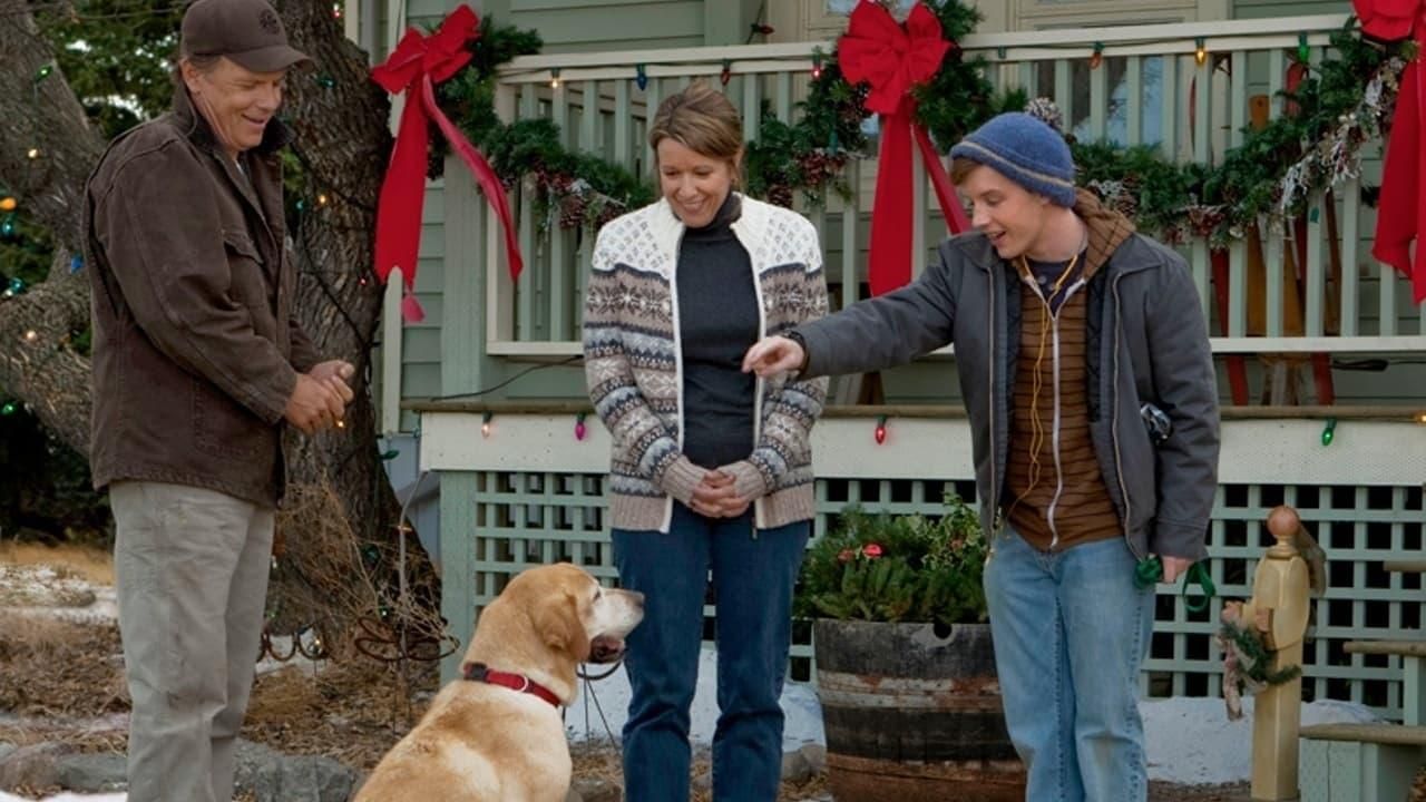A Dog Named Christmas thumbnail