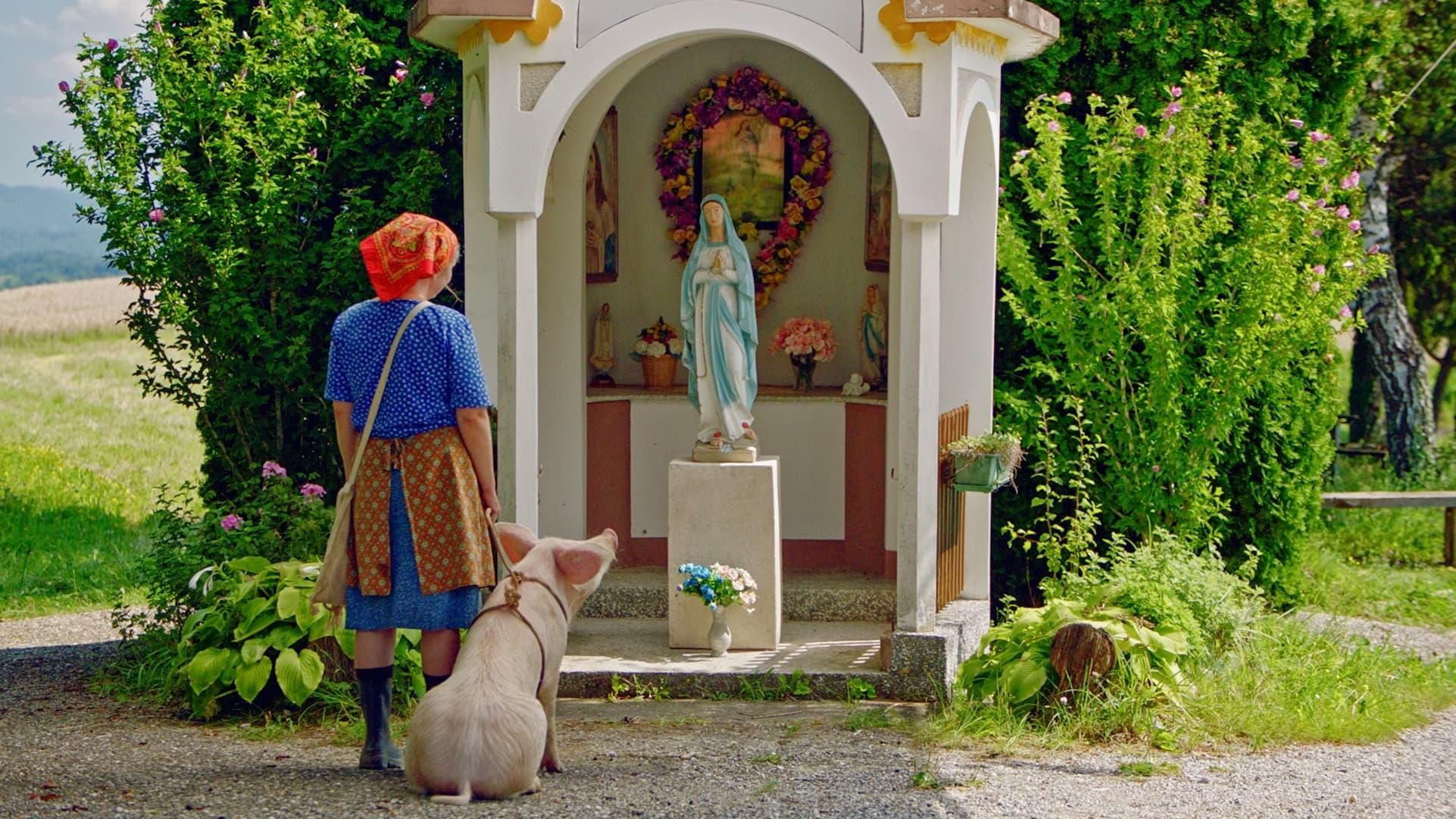 Even Pigs Go to Heaven thumbnail