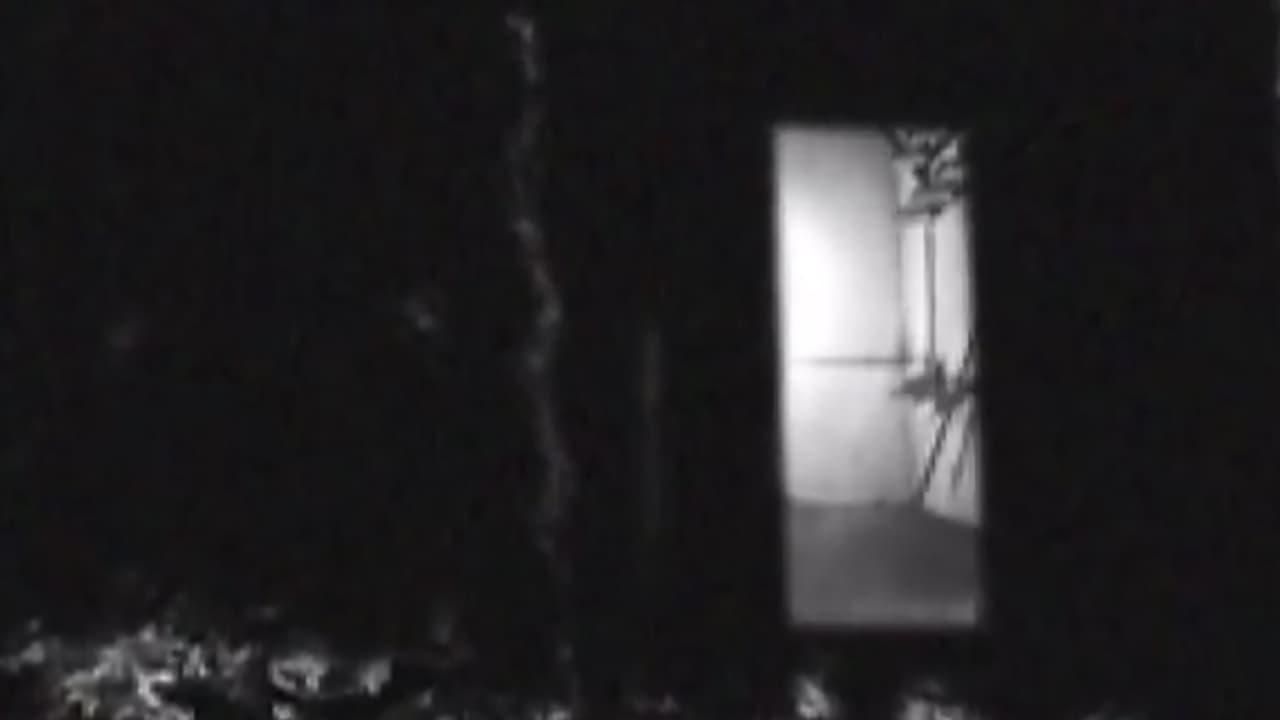 Bug Crawls thumbnail