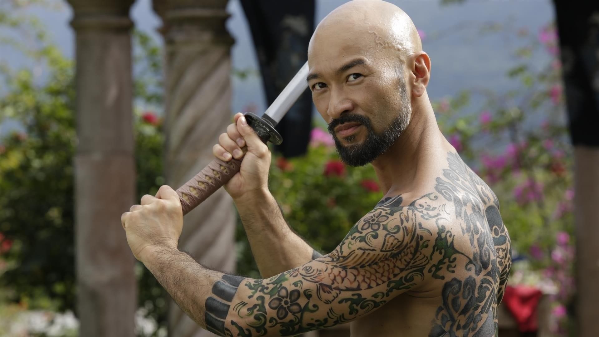 Falcon Rising thumbnail