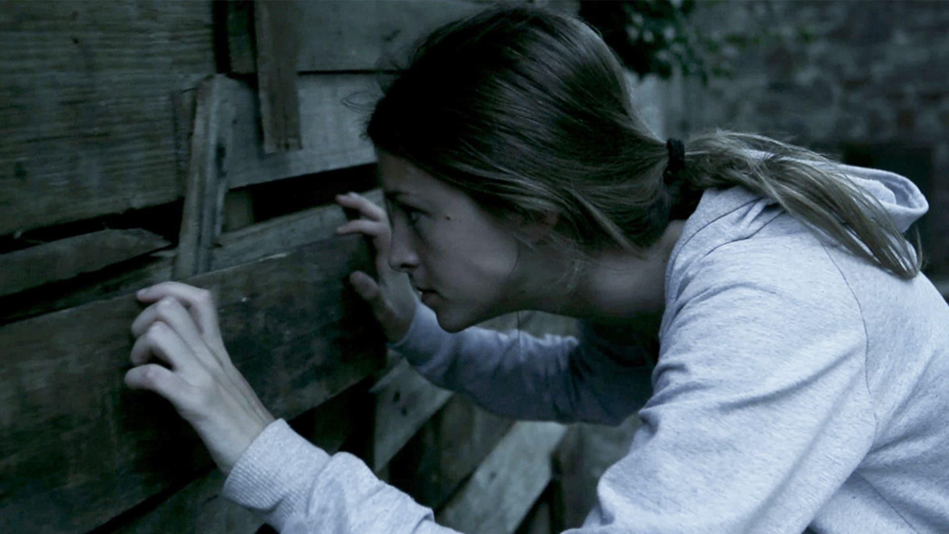 The Silent House thumbnail