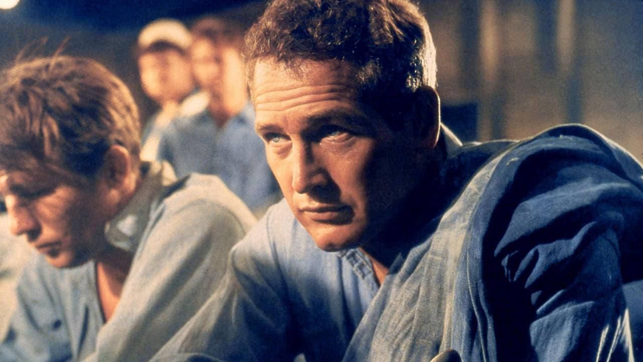 Paul Newman: The Restless thumbnail