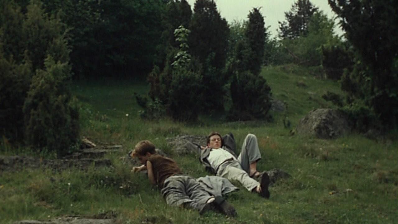 Shades of Fern thumbnail