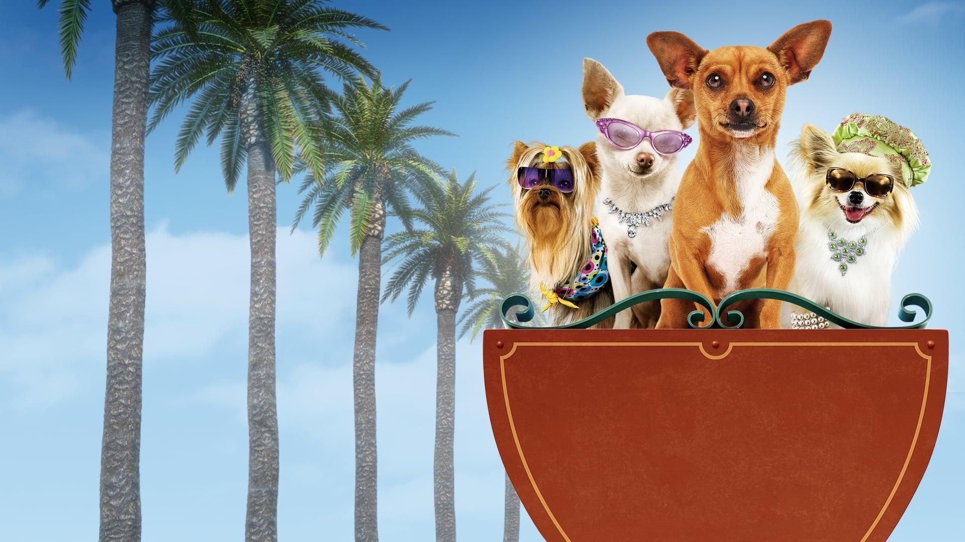 Beverly Hills Chihuahua thumbnail