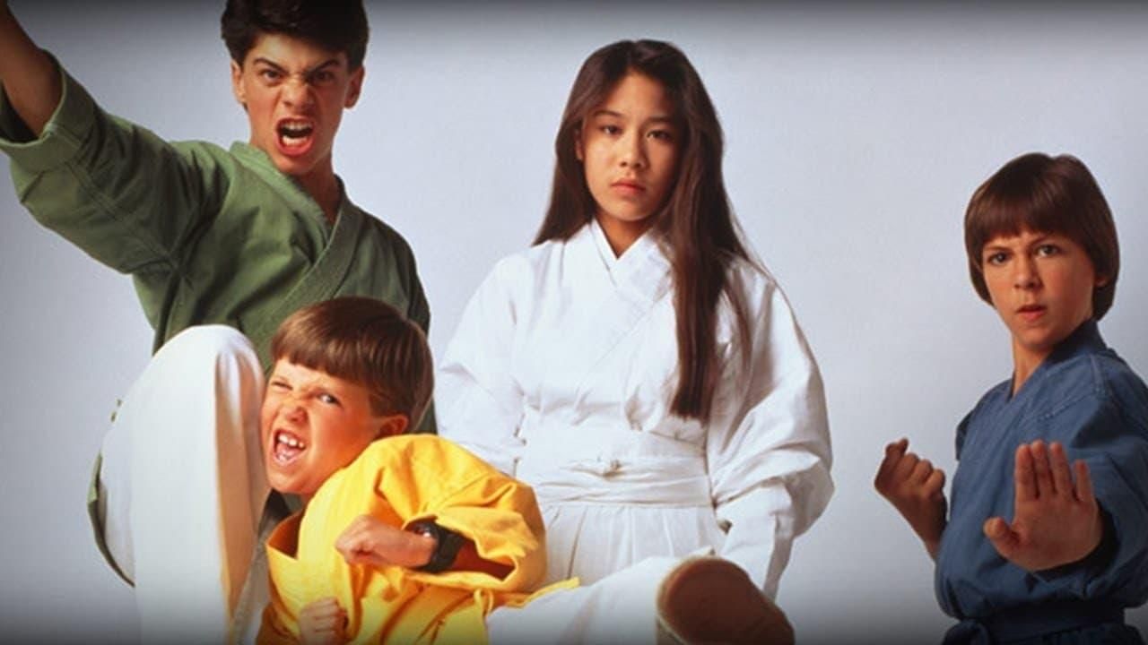 3 Ninjas Kick Back thumbnail