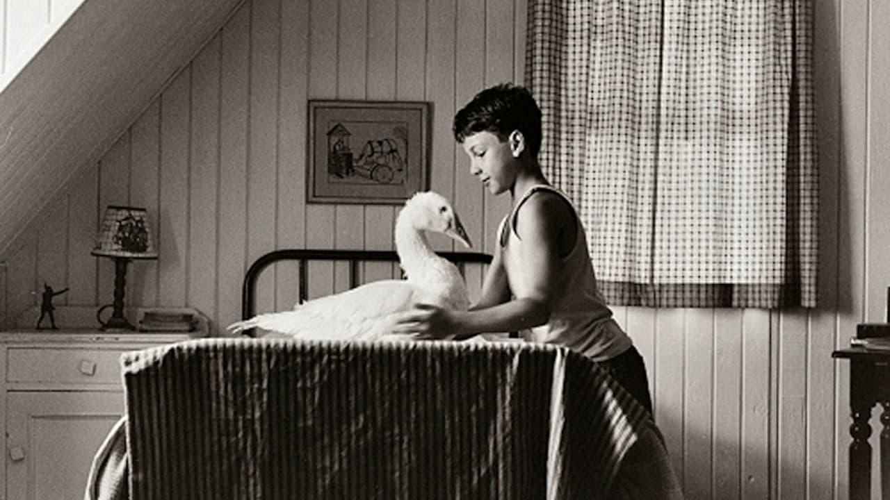 The Tale of Teeka thumbnail