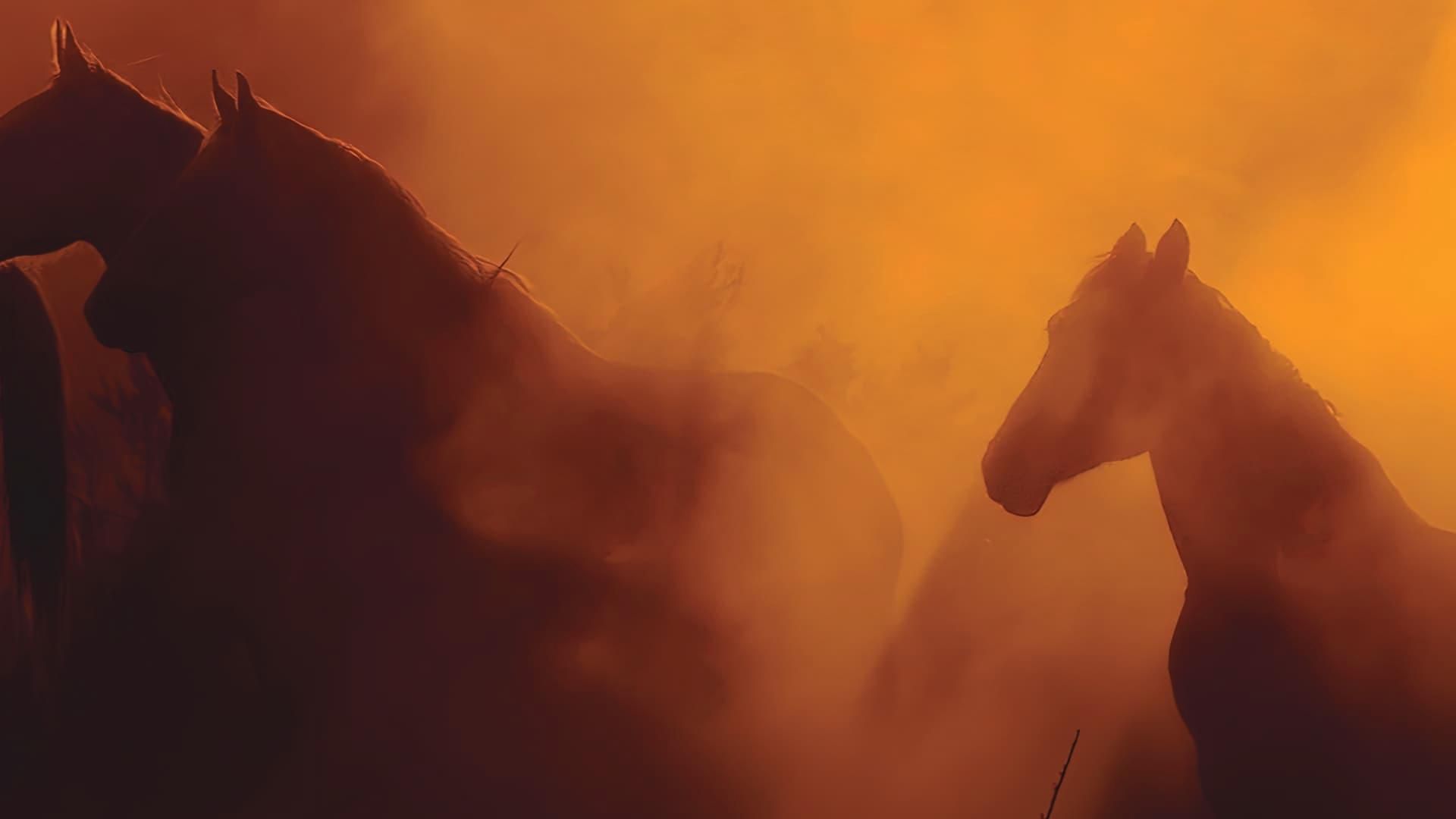 Wild Beauty: Mustang Spirit of the West thumbnail