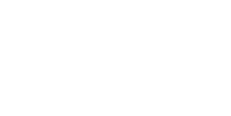 LA MANIOBRA DE LA TORTUGA logo