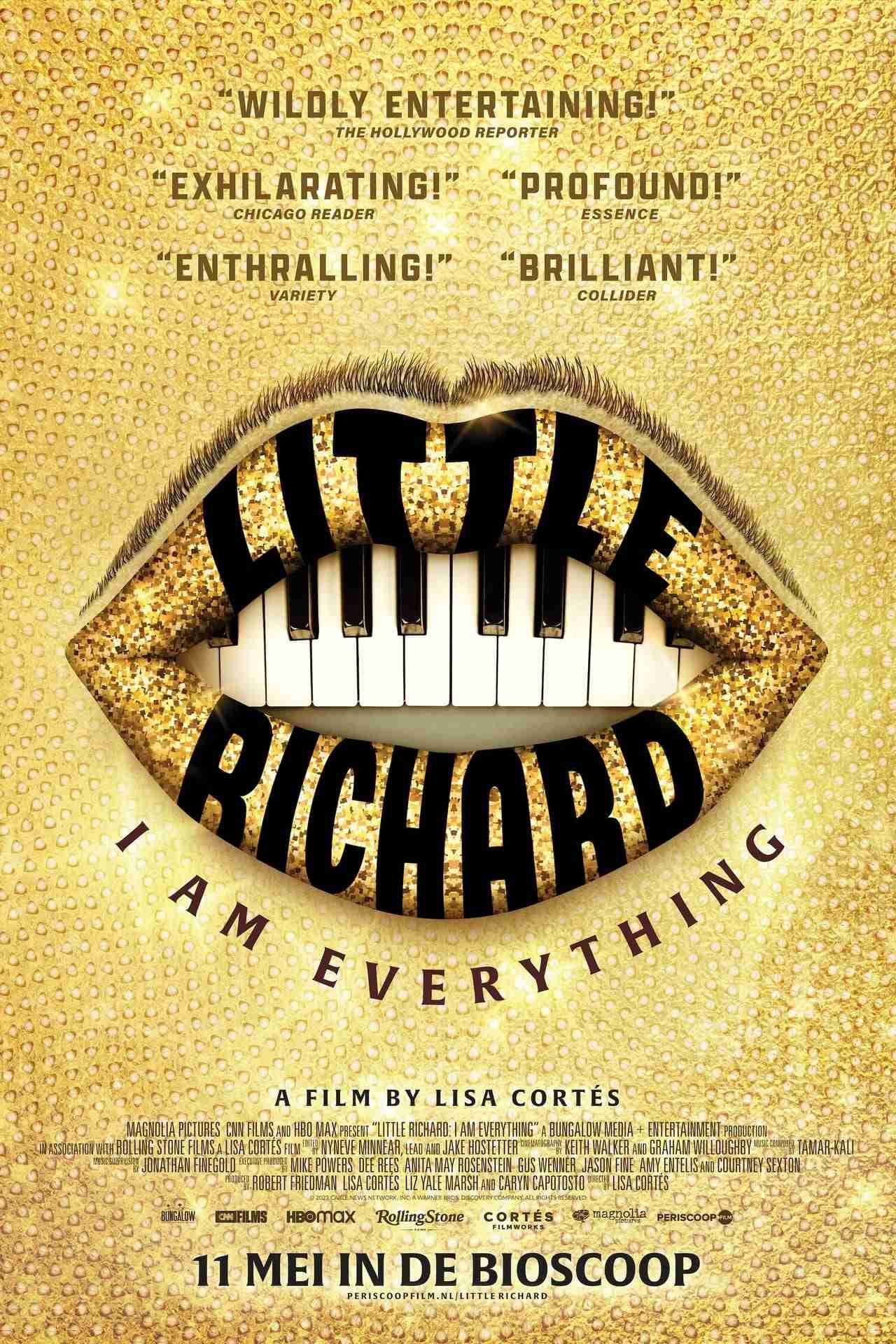 Little Richard: I Am Everything poster image