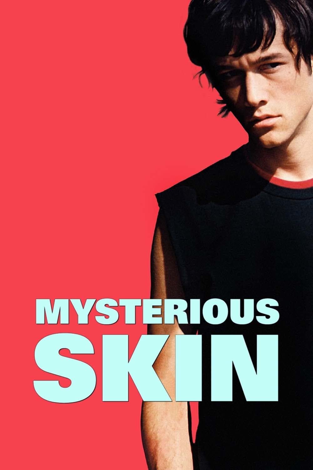 Mysterious Skin poster image