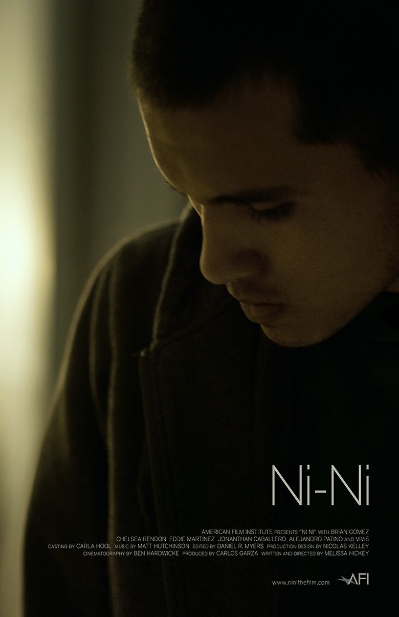NI-NI logo