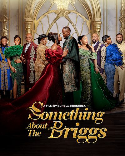 Something About The Briggs poster image