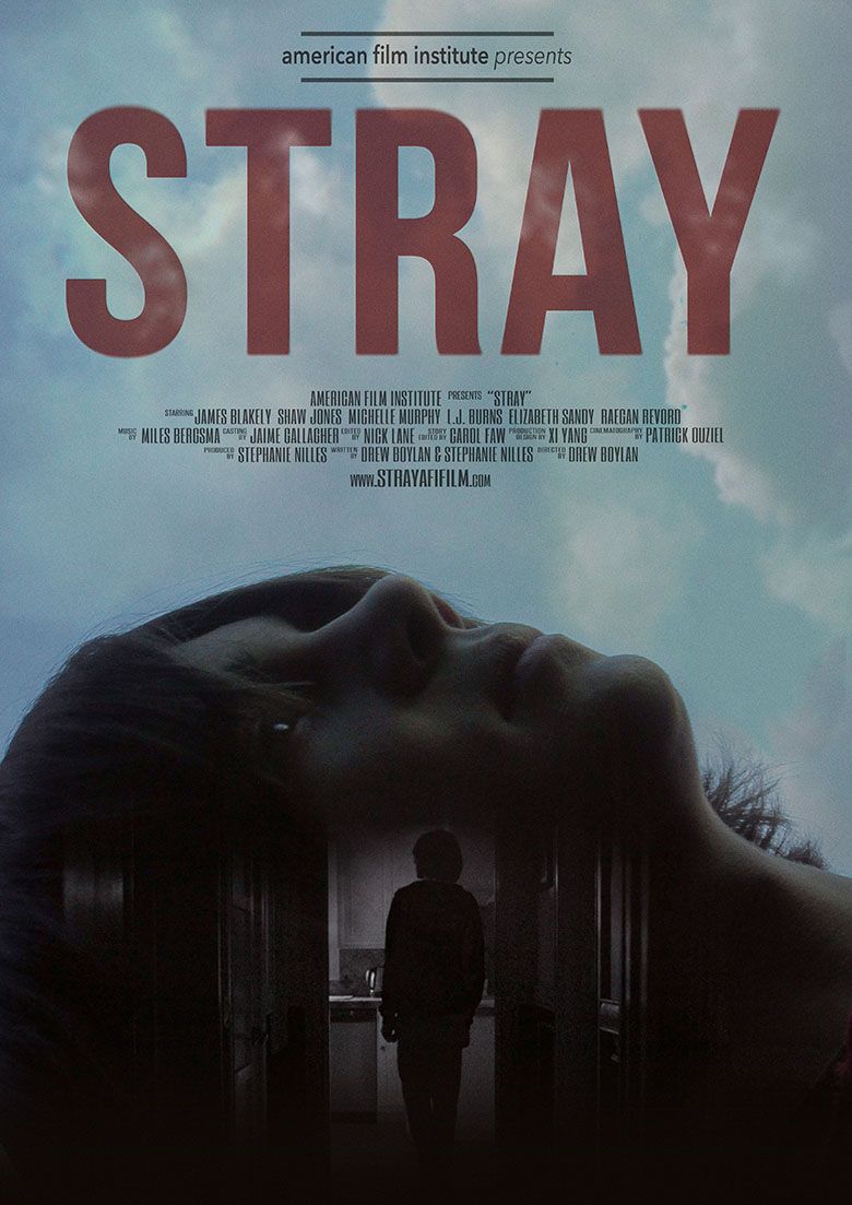 STRAY logo