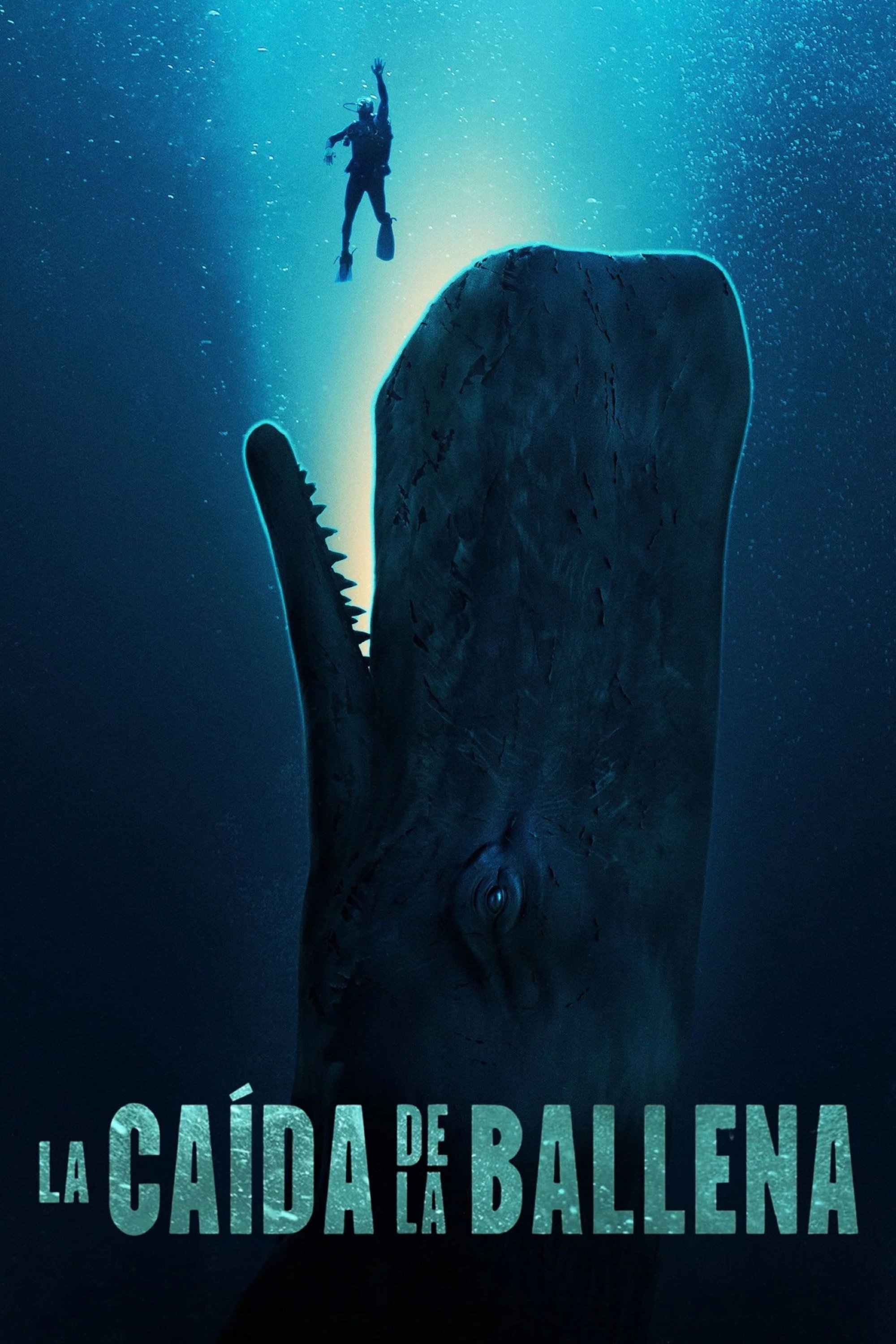 La caída de la ballena poster image