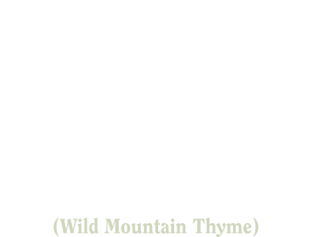 Wild Mountain Thyme logo