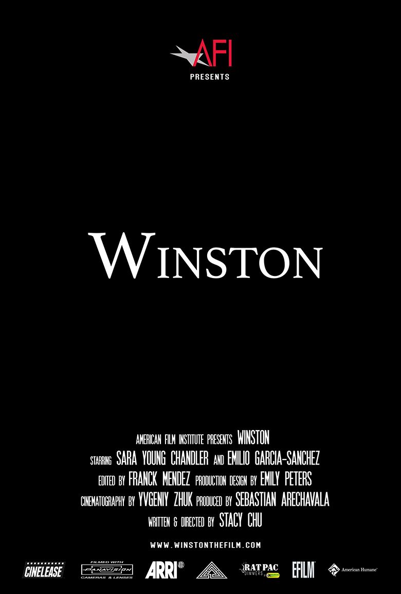 WINSTON logo