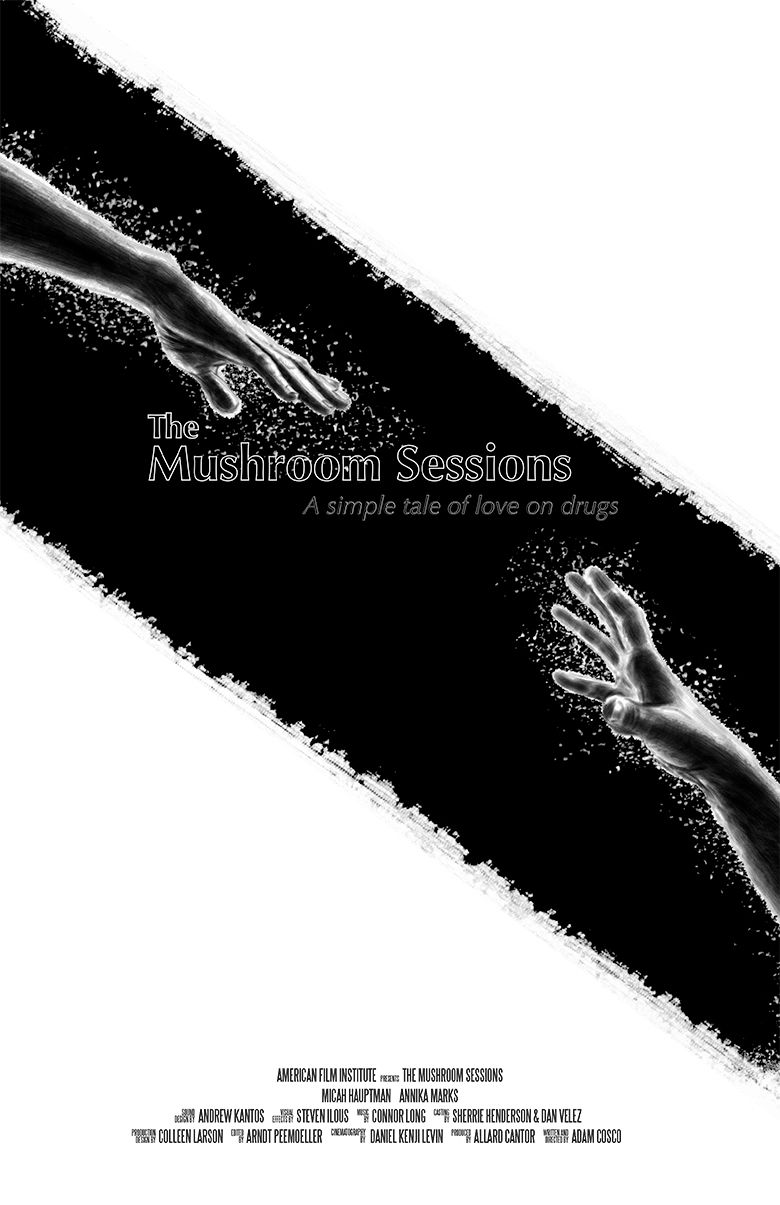 THE MUSHROOM SESSIONS logo