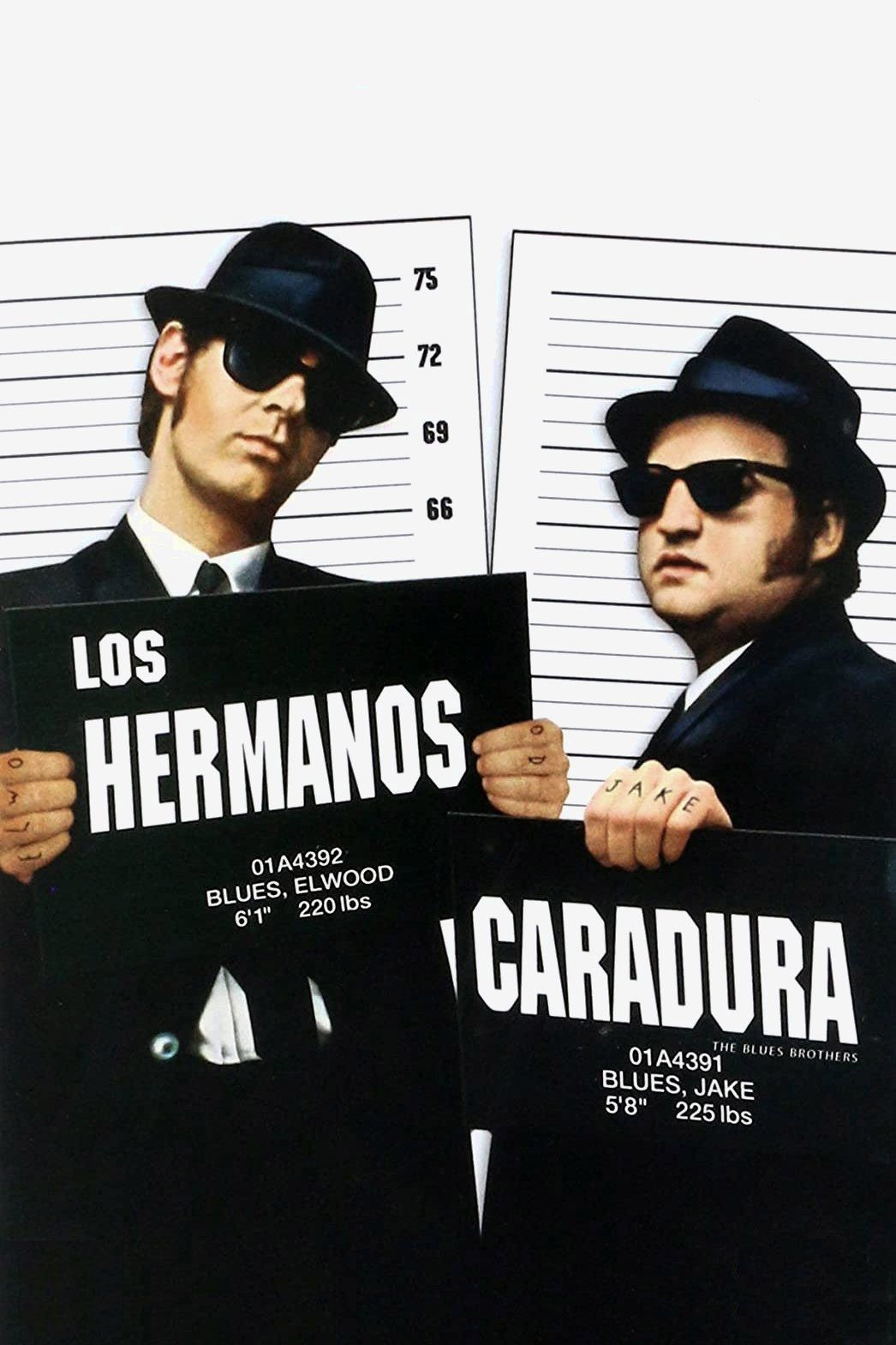 Los hermanos caradura (The Blues Brothers) poster image