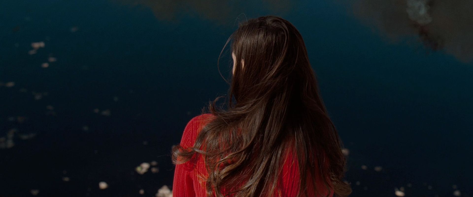 THE LION SHADOWS thumbnail