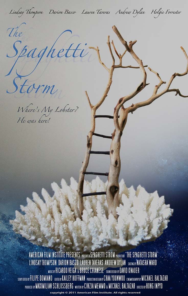 THE SPAGHETTI STORM logo