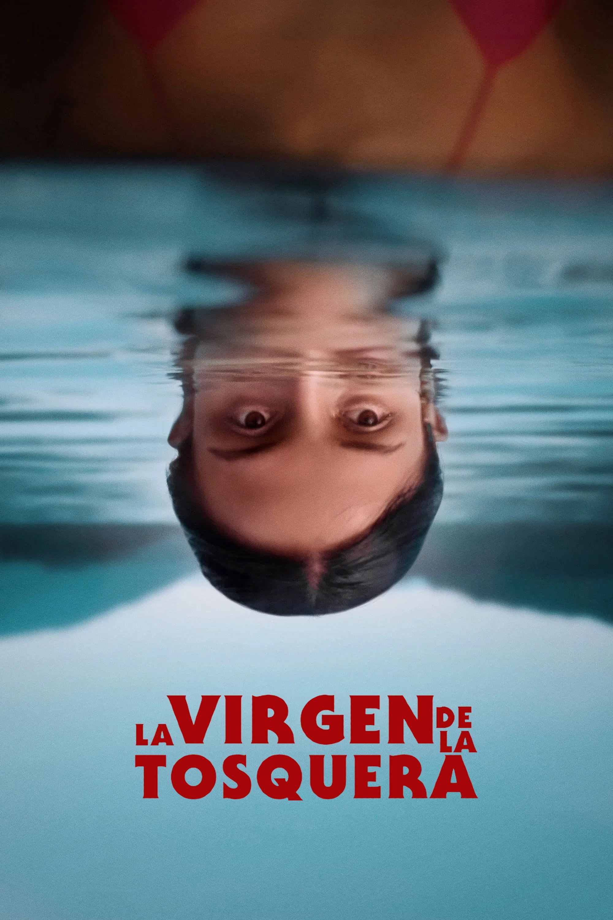 La virgen de la tosquera poster image