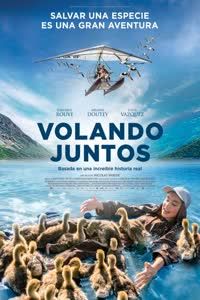Volando juntos poster image