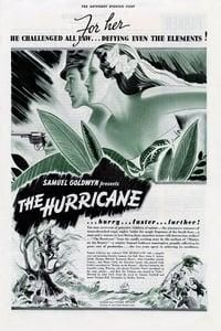 The Hurricane logo