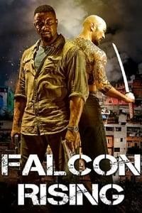 Falcon Rising logo