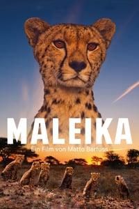 Maleika poster image