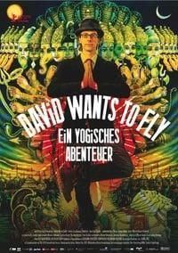 David Wants to Fly logo