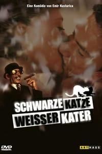 Schwarze Katze, weißer Kater poster image