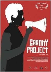 Granny Project poster image