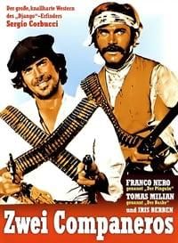 Zwei Companeros poster image