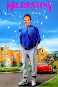 Mr. Destiny logo