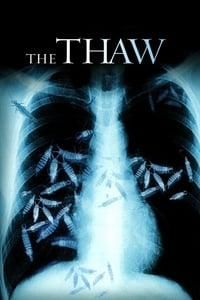 The Thaw logo